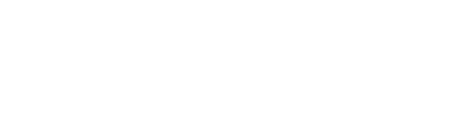 Schüßler-Consulting
